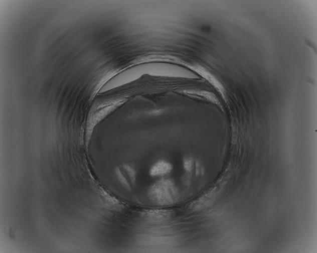 X0000091690953200709131604