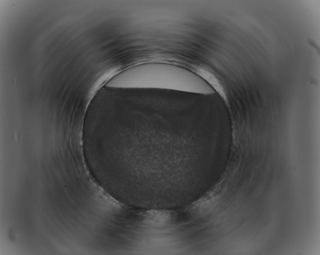 X0000091690954200709131604