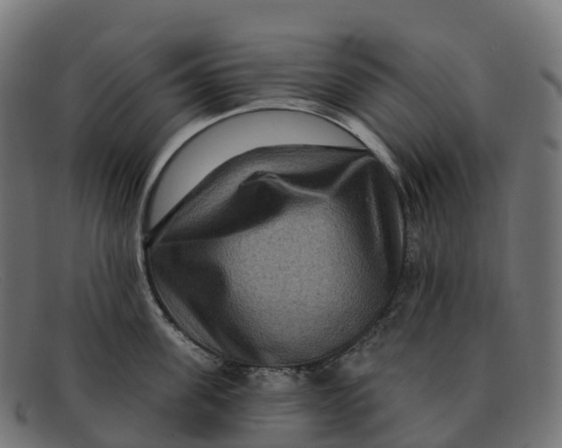 X0000091690955200709131604