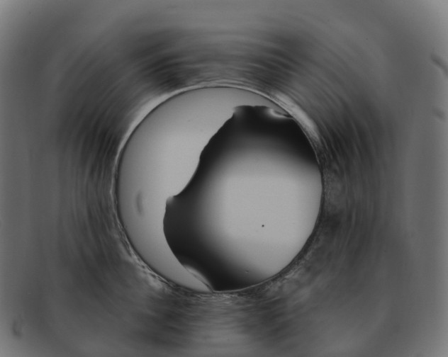 X0000091690956200709131604