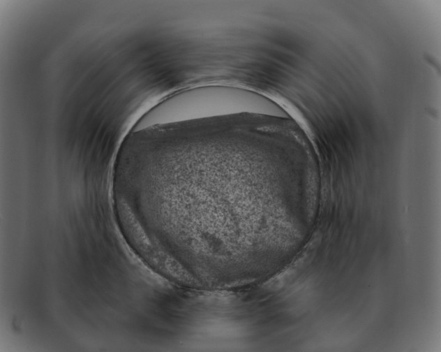 X0000091690957200709131604