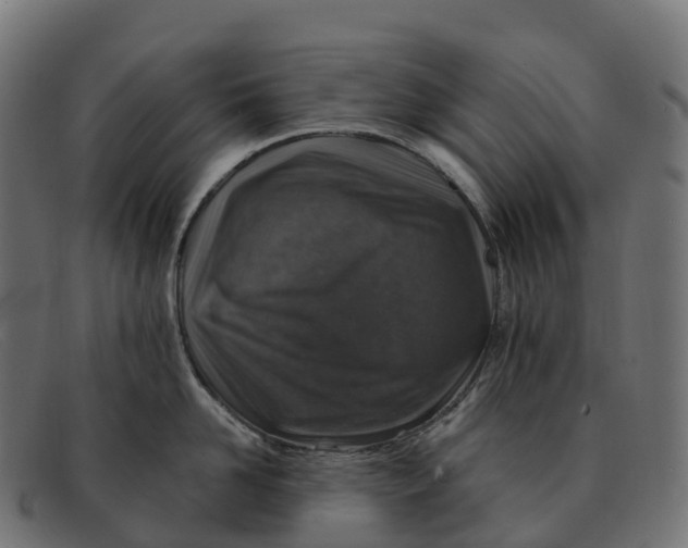 X0000091690958200709131604