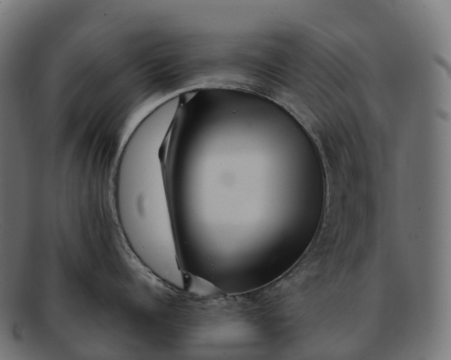 X0000091690960200709131604