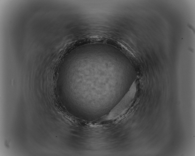 X0000091690961200709131604