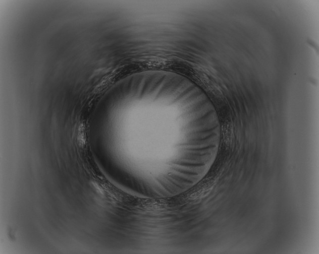 X0000091690962200709131604