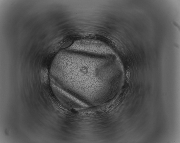 X0000091690963200709131604