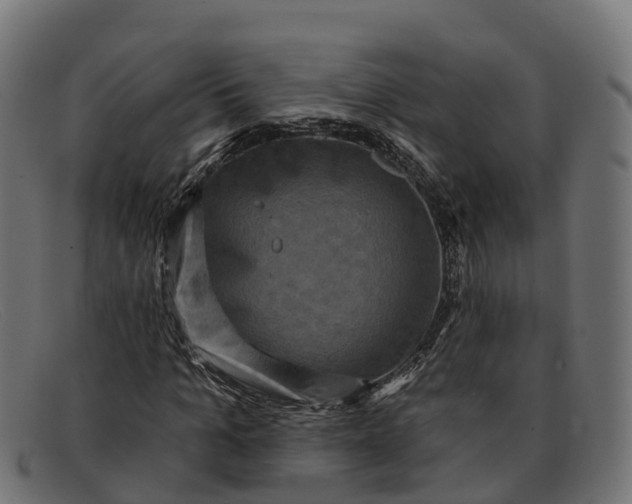 X0000091690965200709131604