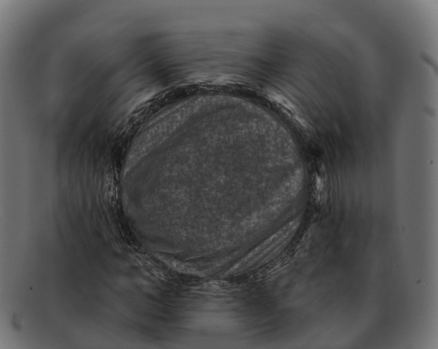 X0000091690966200709131604