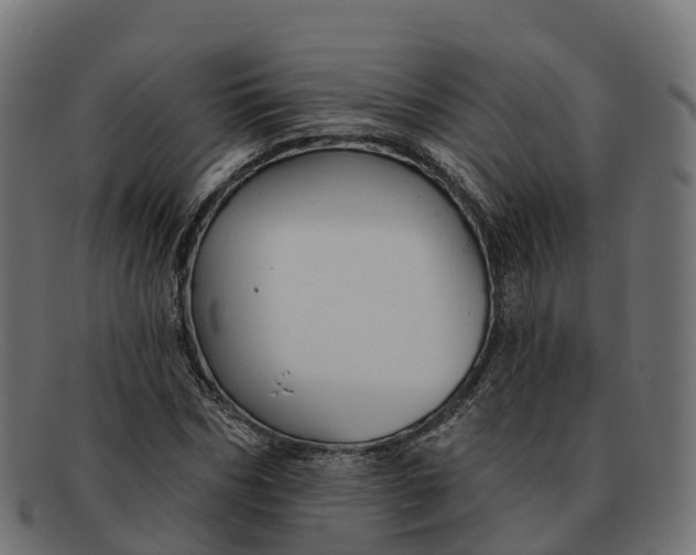 X0000091690970200709131604