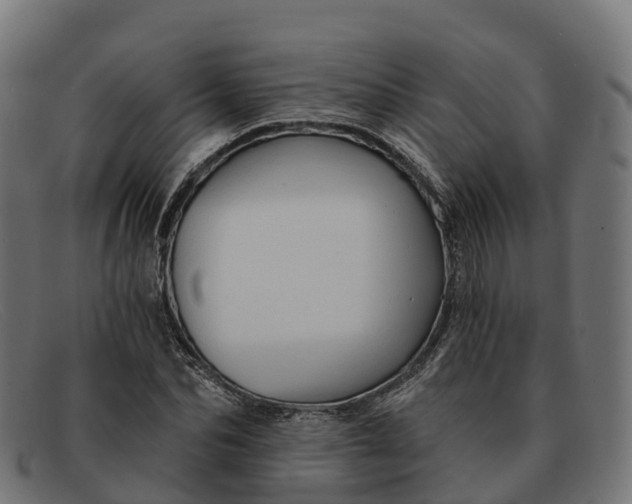 X0000091690974200709131604