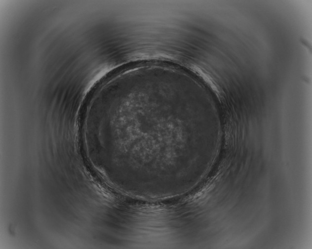 X0000091690975200709131604