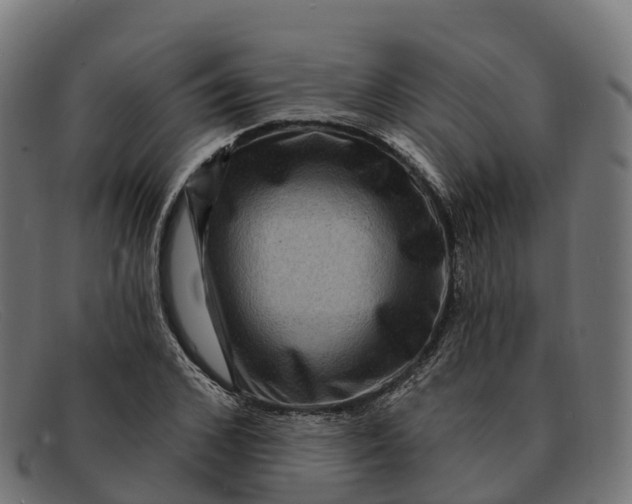 X0000091690976200709131604