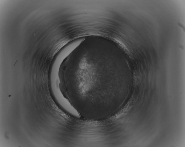 X0000091690977200709131604