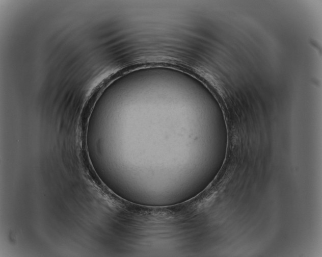 X0000091690979200709131604