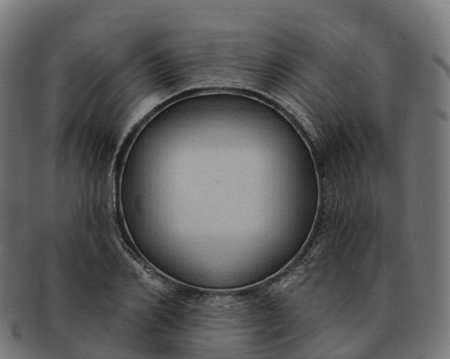 X0000091690982200709131604