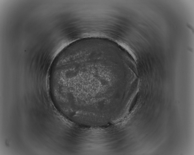 X0000091690983200709131604