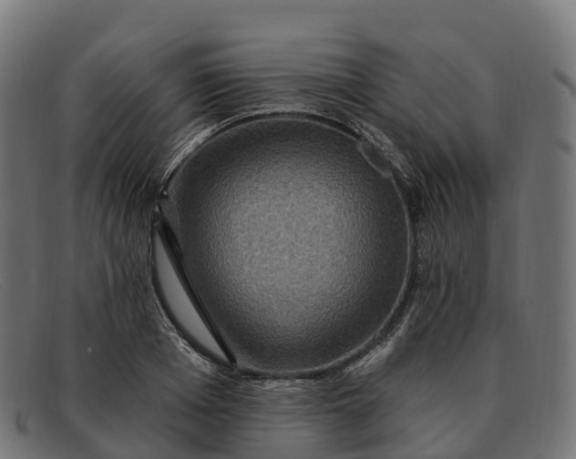 X0000091690985200709131604