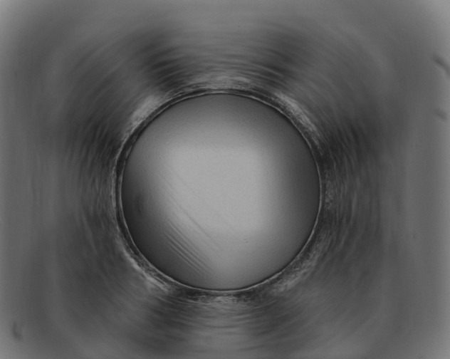 X0000091690986200709131604