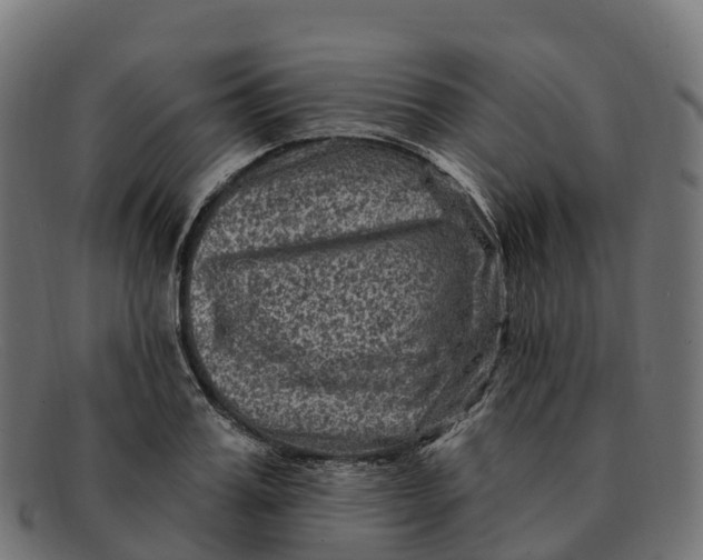 X0000091690987200709131604