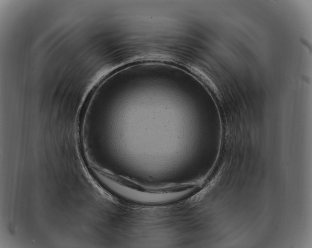 X0000091690989200709131604