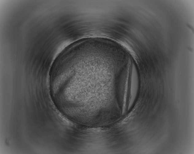 X0000091690990200709131603