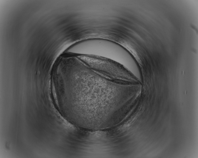 X0000091690992200709131603