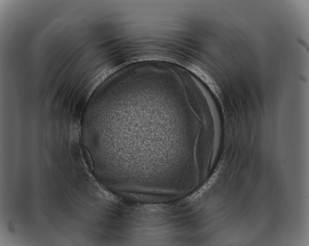 X0000091690993200709131603