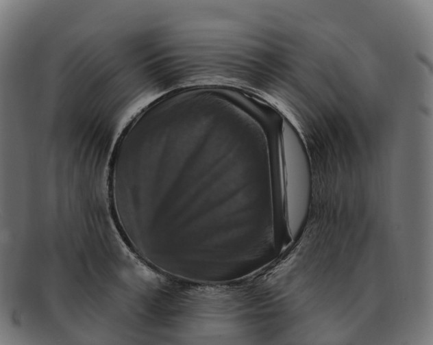 X0000091690995200709131603