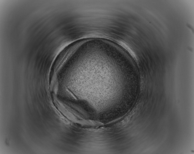 X0000091690996200709131603