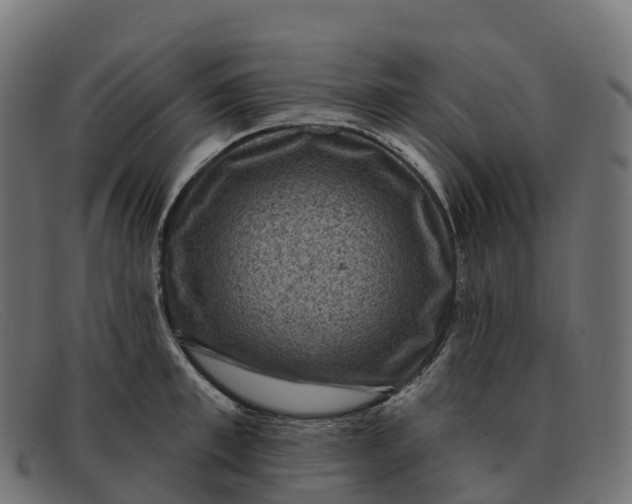 X0000091690997200709131603