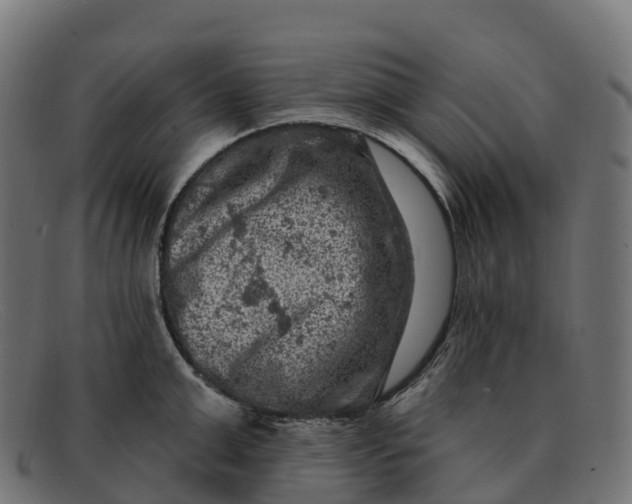 X0000091690999200709131603