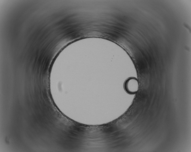 X0000091691000200709131603