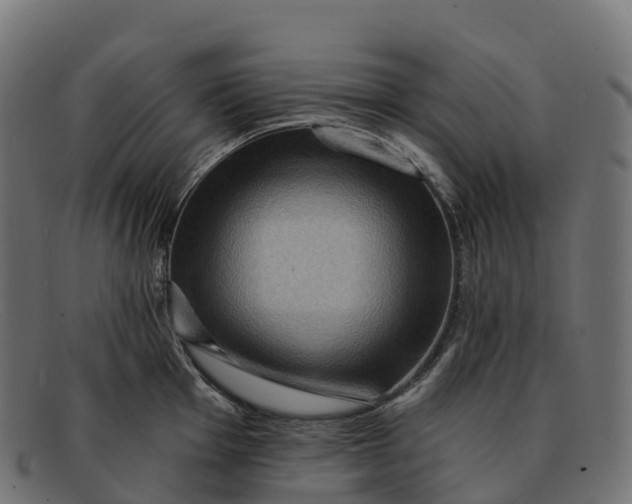 X0000091691001200709131603