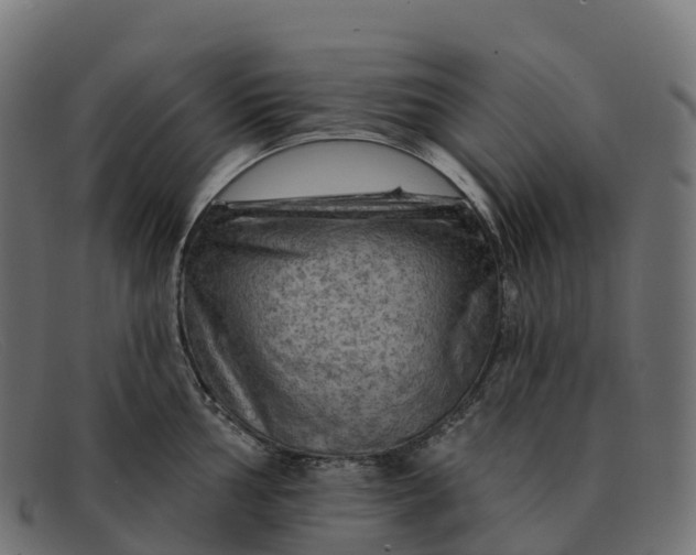 X0000091691002200709131603