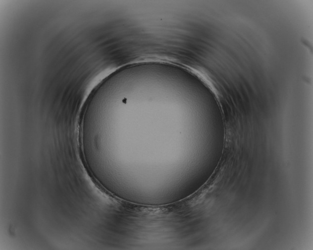 X0000091691003200709131603