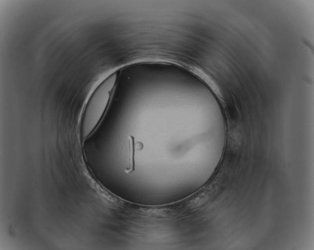 X0000091691004200709131603