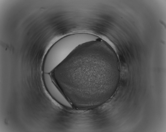 X0000091691005200709131603