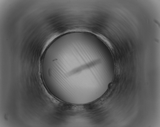 X0000091691006200709131603