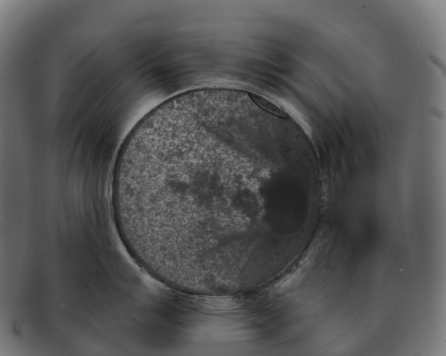 X0000091691007200709131603