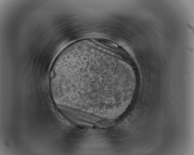 X0000091691008200709131603