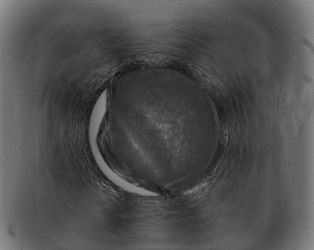 X0000091691010200709131603