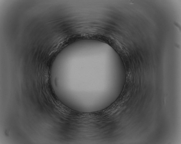 X0000091691012200709131603