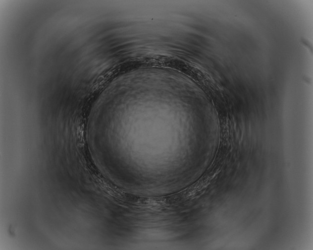 X0000091691013200709131603