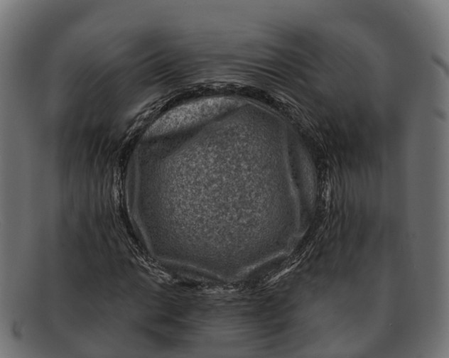 X0000091691014200709131603