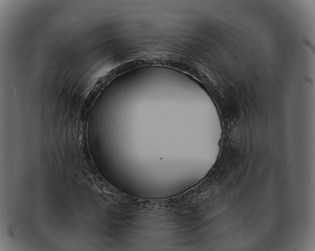 X0000091691016200709131603