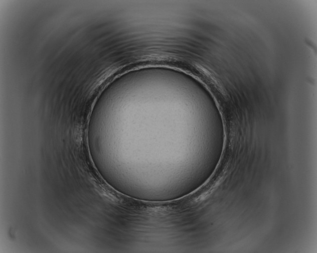 X0000091691017200709131603