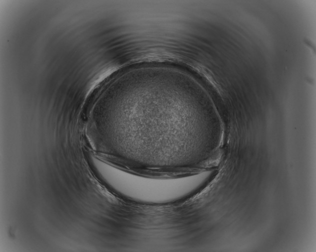 X0000091691018200709131603