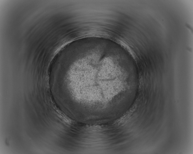 X0000091691019200709131603