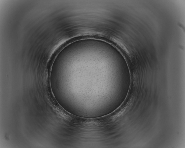 X0000091691021200709131603