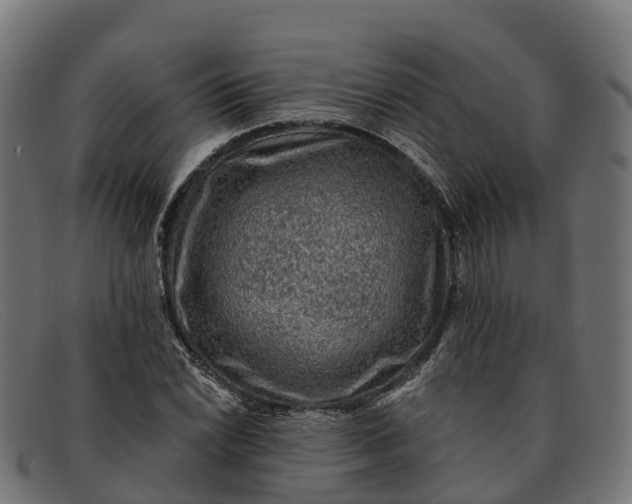 X0000091691022200709131603